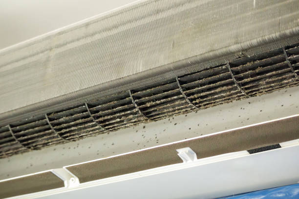 Best Commercial HVAC Duct Cleaning  in Wilton Manors, FL